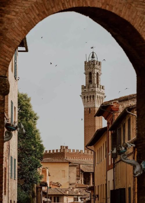 Historic streets of Siena framed by medieval architecture and Torre del Mangia
