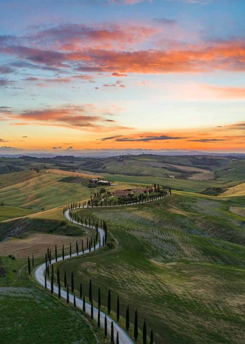 Rolling hills and cypress-lined road in Val d’Orcia at sunset, Tuscany